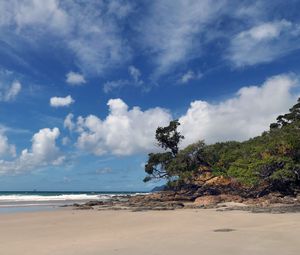 Preview wallpaper beach, trees, sand, shore, nature