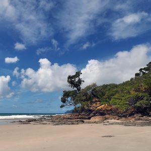 Preview wallpaper beach, trees, sand, shore, nature