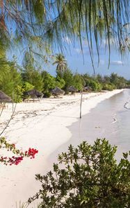 Preview wallpaper beach, trees, sea, summer, tropics