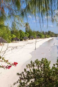 Preview wallpaper beach, trees, sea, summer, tropics
