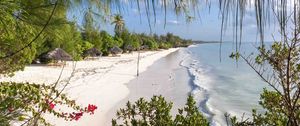 Preview wallpaper beach, trees, sea, summer, tropics