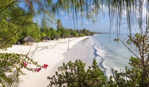 Preview wallpaper beach, trees, sea, summer, tropics