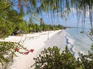 Preview wallpaper beach, trees, sea, summer, tropics