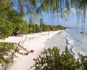 Preview wallpaper beach, trees, sea, summer, tropics