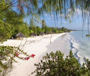 Preview wallpaper beach, trees, sea, summer, tropics