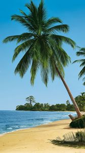 Preview wallpaper beach, tropics, sea, sand, palm trees, summer