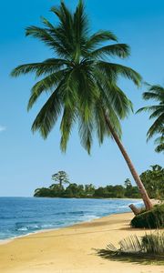 Preview wallpaper beach, tropics, sea, sand, palm trees, summer