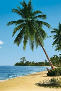 Preview wallpaper beach, tropics, sea, sand, palm trees, summer