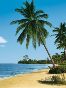 Preview wallpaper beach, tropics, sea, sand, palm trees, summer