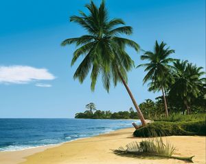 Preview wallpaper beach, tropics, sea, sand, palm trees, summer