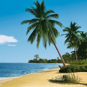 Preview wallpaper beach, tropics, sea, sand, palm trees, summer