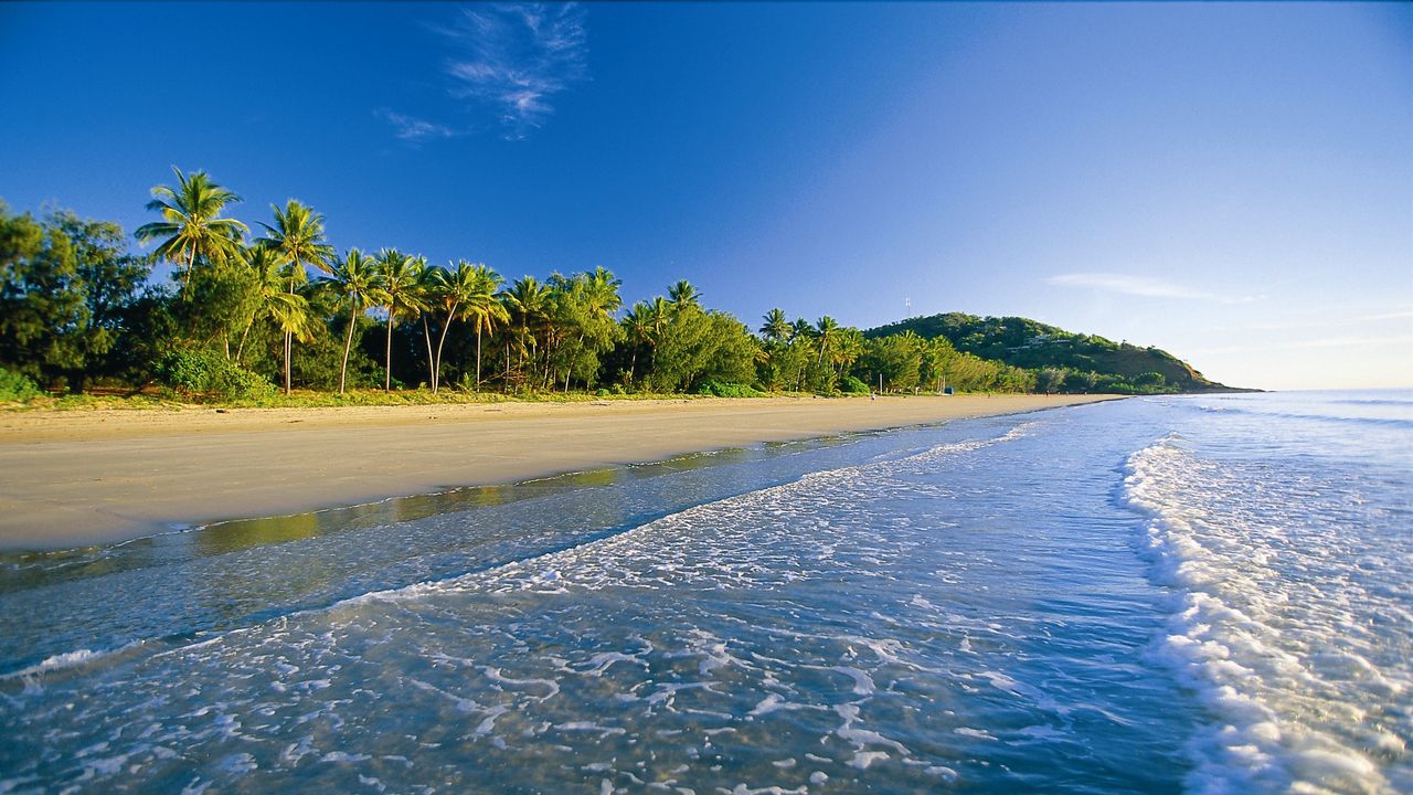 Wallpaper beach, tropics, sea, sand, palm trees, foam