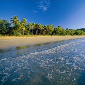 Preview wallpaper beach, tropics, sea, sand, palm trees, foam