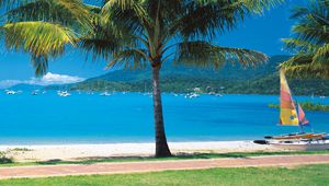 Preview wallpaper beach, tropics, sea, sand, palm trees, yachts