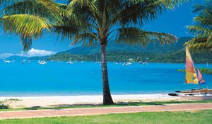 Preview wallpaper beach, tropics, sea, sand, palm trees, yachts