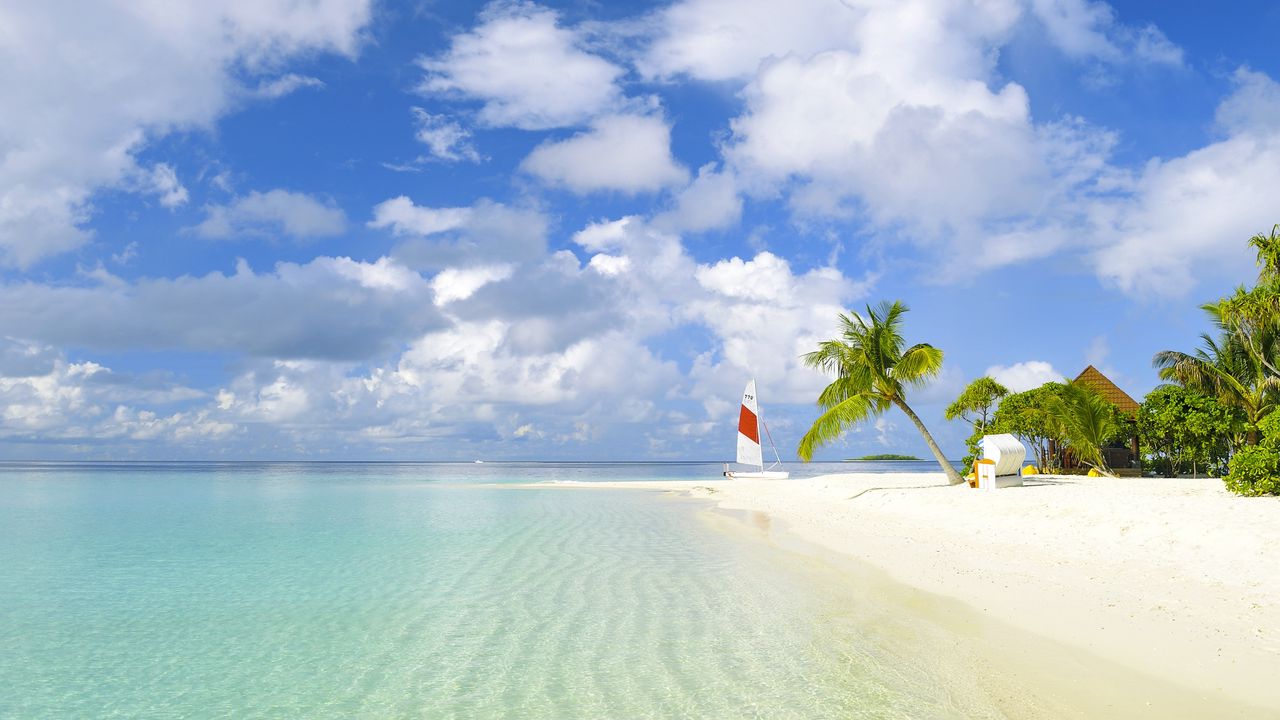 Wallpaper beach, tropics, sea, sand, palm trees, yacht