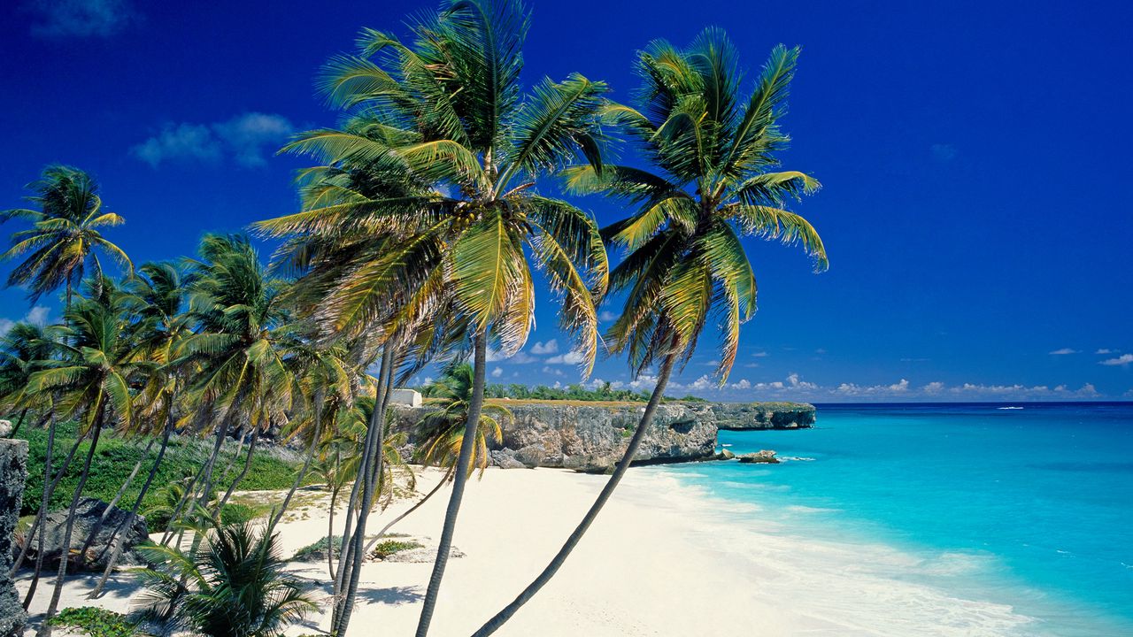 Wallpaper beach, tropics, sea, sand, palm trees, beautiful
