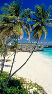 Preview wallpaper beach, tropics, sea, sand, palm trees, beautiful