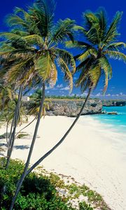 Preview wallpaper beach, tropics, sea, sand, palm trees, beautiful