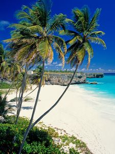 Preview wallpaper beach, tropics, sea, sand, palm trees, beautiful