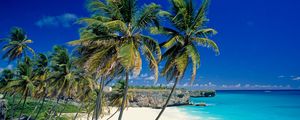 Preview wallpaper beach, tropics, sea, sand, palm trees, beautiful