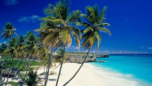 Preview wallpaper beach, tropics, sea, sand, palm trees, beautiful