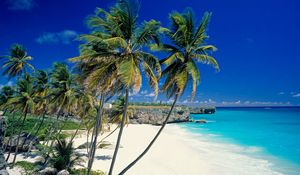 Preview wallpaper beach, tropics, sea, sand, palm trees, beautiful