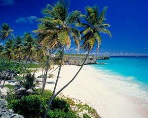 Preview wallpaper beach, tropics, sea, sand, palm trees, beautiful