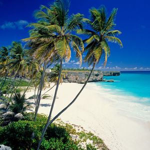 Preview wallpaper beach, tropics, sea, sand, palm trees, beautiful