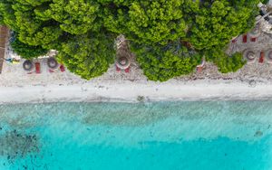 Preview wallpaper beach, umbrella, sea, aerial view, trees