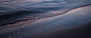 Preview wallpaper beach, wave, surf, water, sand