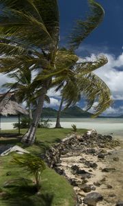 Preview wallpaper beach, wind, coast, canopy, tropics