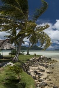 Preview wallpaper beach, wind, coast, canopy, tropics