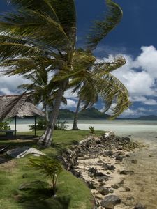 Preview wallpaper beach, wind, coast, canopy, tropics