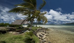 Preview wallpaper beach, wind, coast, canopy, tropics