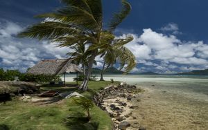 Preview wallpaper beach, wind, coast, canopy, tropics