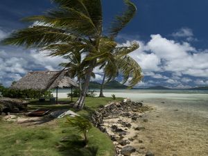 Preview wallpaper beach, wind, coast, canopy, tropics