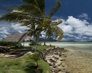 Preview wallpaper beach, wind, coast, canopy, tropics