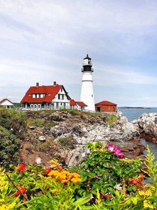 Preview wallpaper beacon, coast, rocks, flowers, herbs, berry, landscape, sea