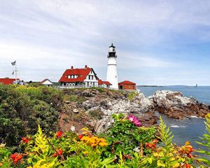 Preview wallpaper beacon, coast, rocks, flowers, herbs, berry, landscape, sea