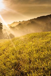 Preview wallpaper beams, sun, light, slope, meadow, landscape