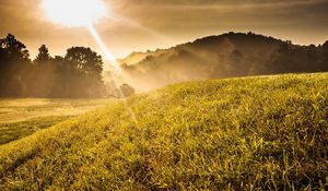 Preview wallpaper beams, sun, light, slope, meadow, landscape