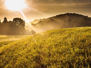 Preview wallpaper beams, sun, light, slope, meadow, landscape