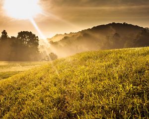 Preview wallpaper beams, sun, light, slope, meadow, landscape