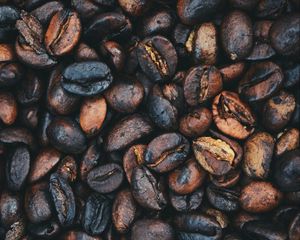 Preview wallpaper bean, coffee, coffee beans, grain, macro