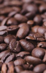 Preview wallpaper beans, coffee beans, macro, coffee