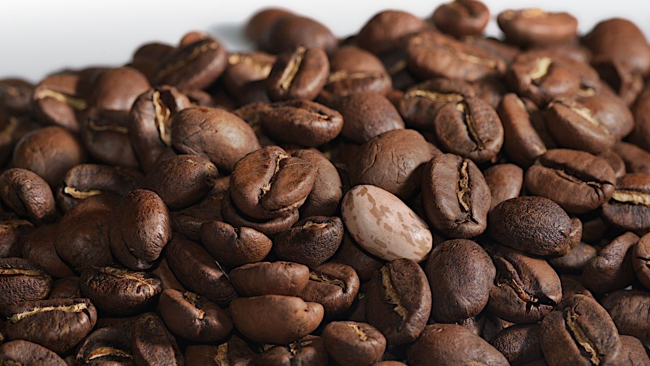 Wallpaper beans, coffee, brown, macro