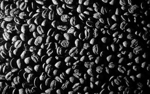 Preview wallpaper beans, coffee, caffeine, macro, black and white