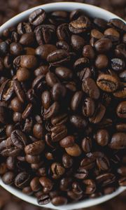 Preview wallpaper beans, coffee, cup, brown, drink