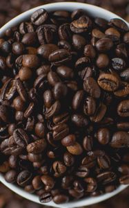 Preview wallpaper beans, coffee, cup, brown, drink